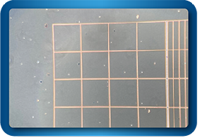 Cell viability assessment (microbiology)